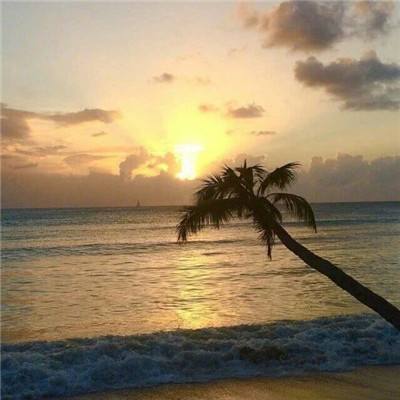 澳门银银河官方网welcome手机app下载